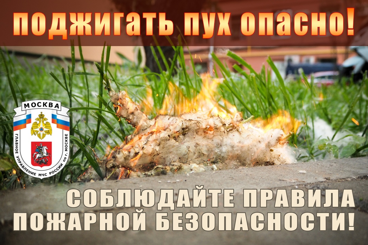 23434