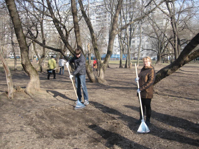 IMG 3755